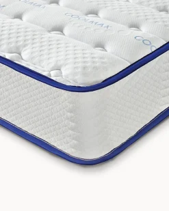 Pack beliche LA BÊTE + 2 colchões SPRING ROLLER