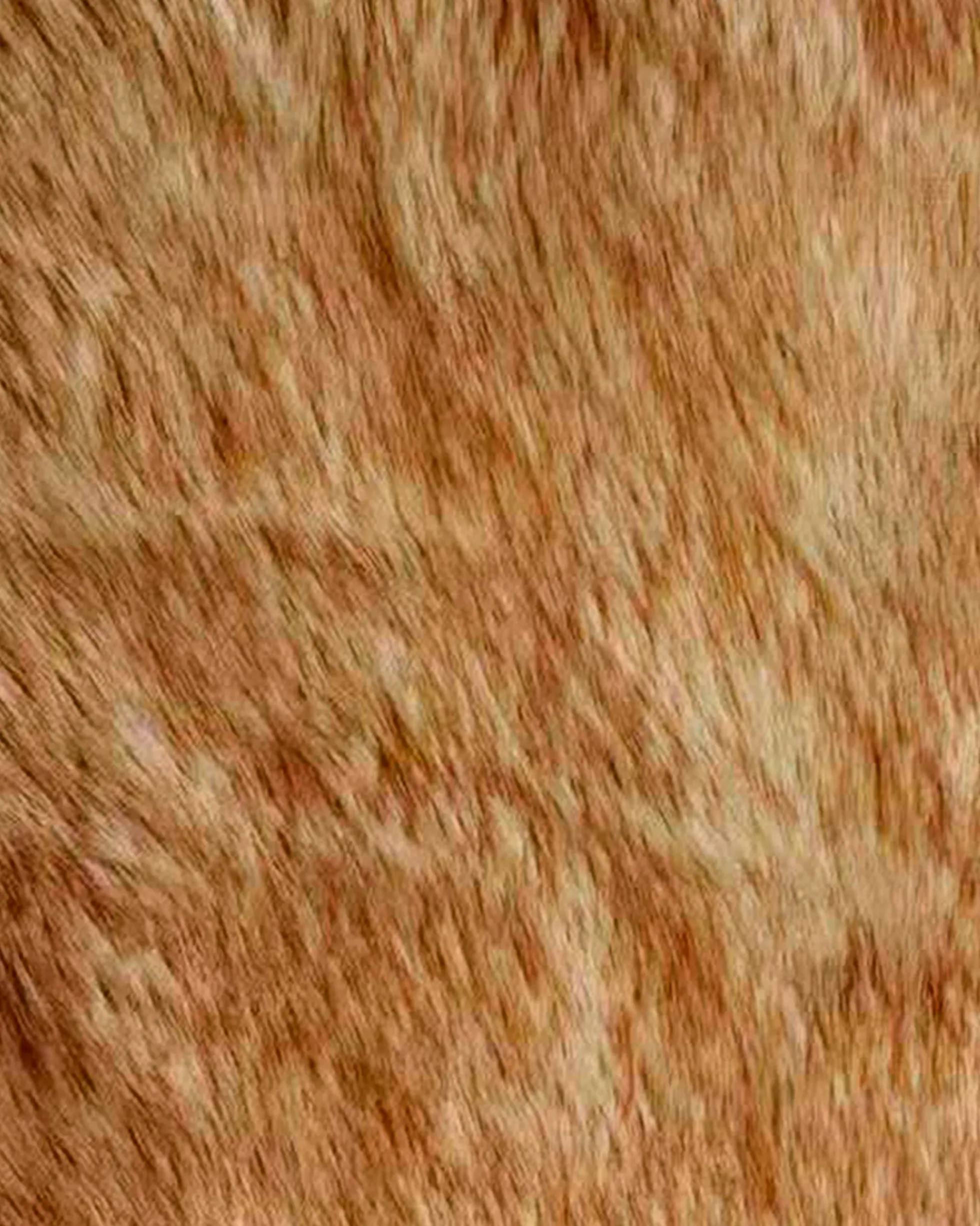 Tapete FOX